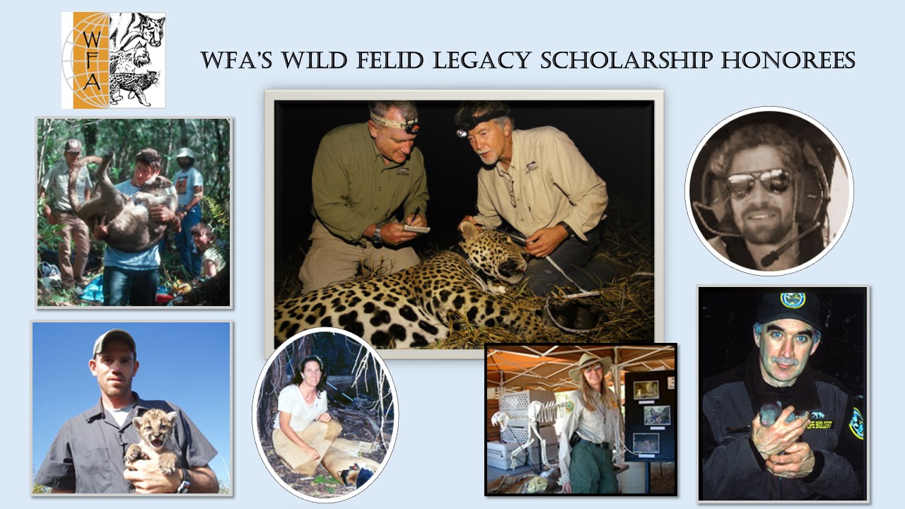 Legacy Scholarship