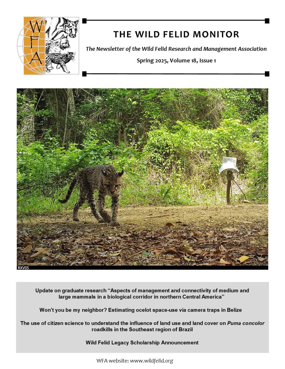 Spring 2025 Issue WFM